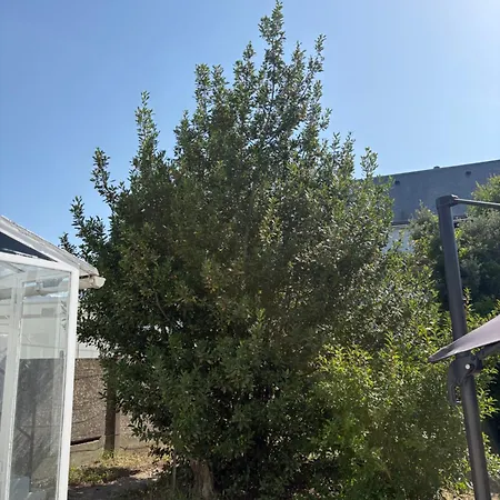 Maison Au Coeur Du Pouliguen Сasa de vacaciones Le Pouliguen